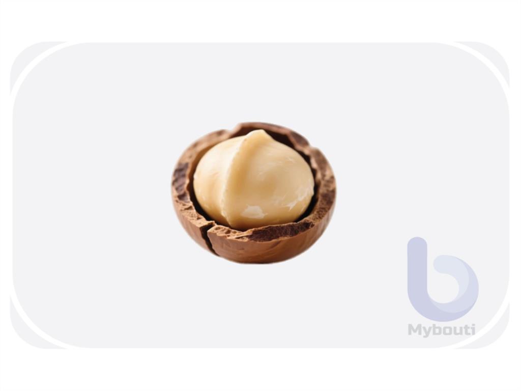 macadamia nut